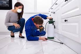 Emergency Pest Control Services in Bertram, TX